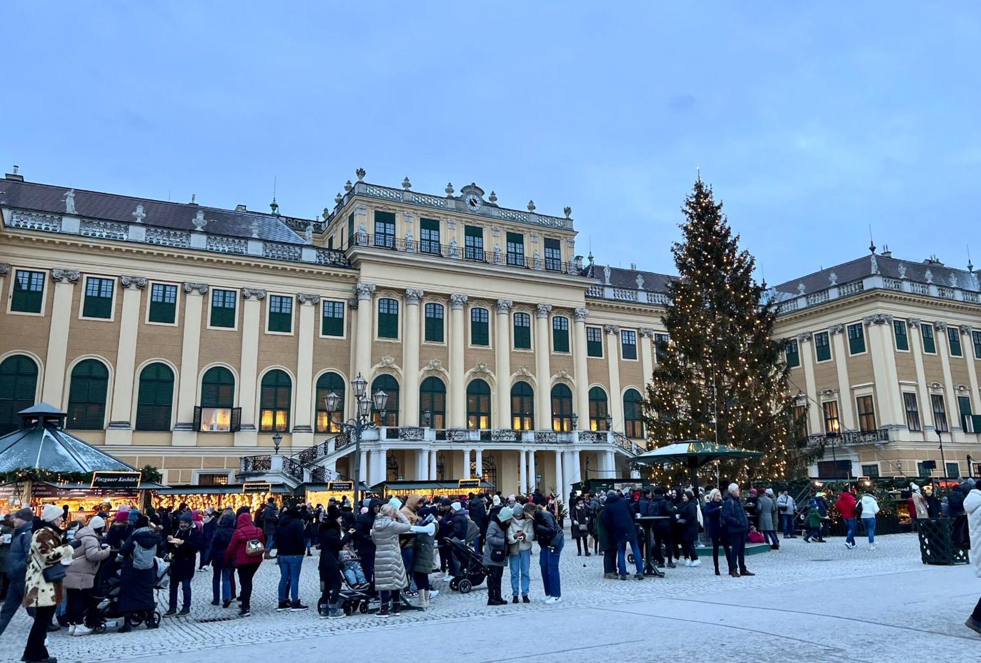 Luxe View Schoenbrunn