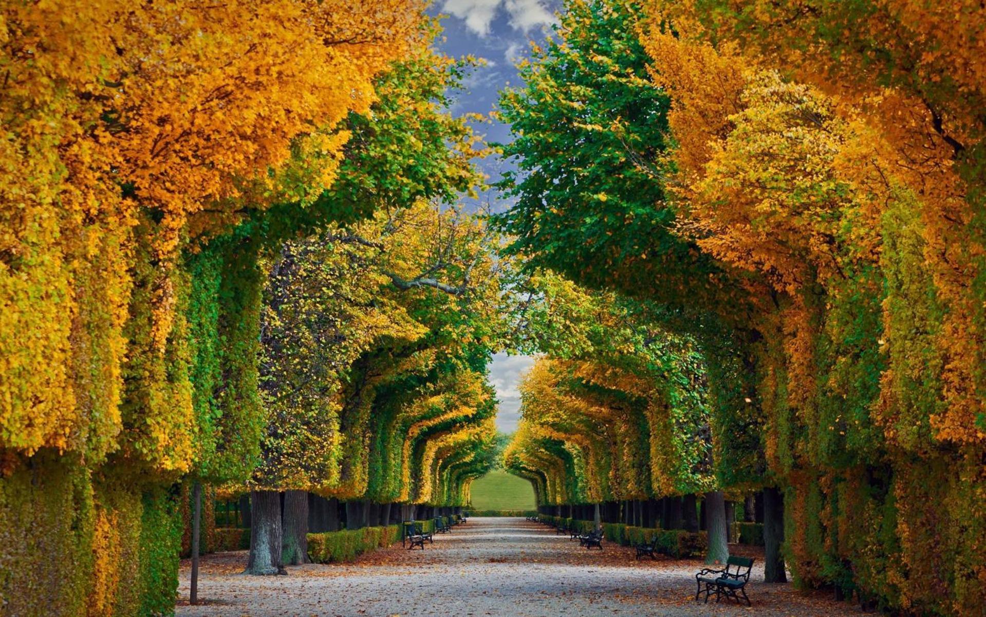 Luxe View Schoenbrunn